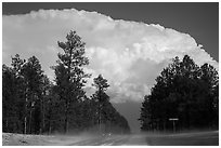 Cumulonimbus cloud above roadway, Black Hills National Forest. Black Hills, South Dakota, USA ( black and white)