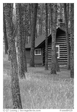 Cabins in Custer State Park. Black Hills, South Dakota, USA (black and white)