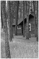 Cabins in Custer State Park. Black Hills, South Dakota, USA ( black and white)
