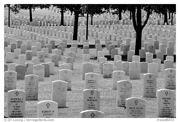 Rows of tombs, Black Hills National Cemetery. South Dakota, USA (black and white)