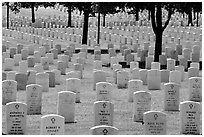 Rows of gravestones, Black Hills National Cemetery. Black Hills, South Dakota, USA ( black and white)