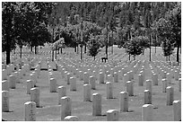 Black Hills National Cemetery. Black Hills, South Dakota, USA ( black and white)