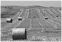 Field and rolls of hay. South Dakota, USA (black and white)