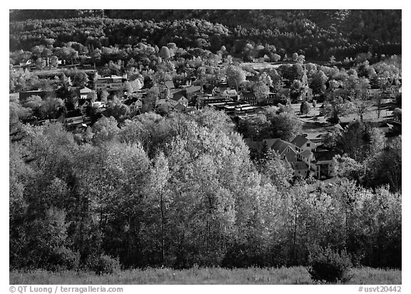Village with trees in fall foliage. USA (black and white)