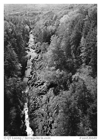 Quechee Gorge and river in the fall. Vermont, New England, USA (black and white)