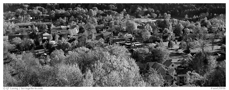 Vermont small town with trees in autumn colors. Vermont, New England, USA (black and white)