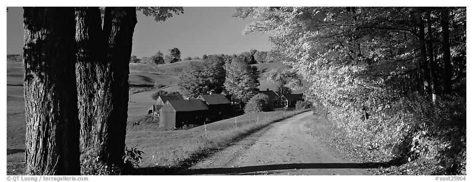 Pastoral view with road and farm in autumn. Vermont, New England, USA (black and white)
