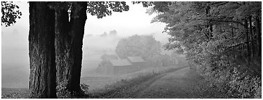 Rural view with road and farm in autumn fog. Vermont, New England, USA (Panoramic black and white)
