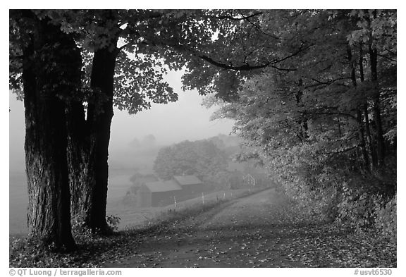 Jenne Farm, foggy morning. Vermont, New England, USA