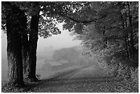 Jenne Farm, foggy morning. Vermont, New England, USA (black and white)