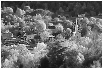Village surounded by trees in brilliant autumn foliage. Vermont, New England, USA ( black and white)