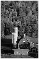 Farm and silos surrounded by hills in autumn  foliage. Vermont, New England, USA (black and white)