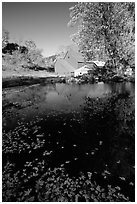 Pond and Sherbourne Farm in Hewettville. Vermont, New England, USA (black and white)