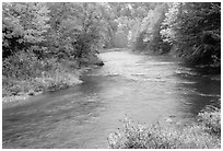 River with trees in autumn color. Vermont, New England, USA (black and white)