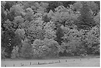 Meadow, fence, and colorful trees. Vermont, New England, USA ( black and white)