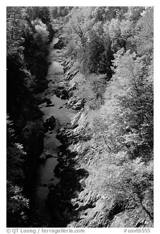 Quechee Gorge in fall. Vermont, New England, USA (black and white)