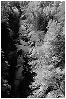 Quechee Gorge in fall. Vermont, New England, USA ( black and white)