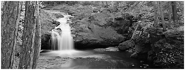 Forest scene with waterfall,  Amnicon Falls State Park. Wisconsin, USA (Panoramic black and white)
