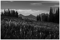 Pictures of Teton Range