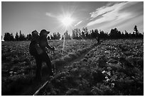 Hikers on Face Trail surrounded by wildflowers. Jedediah Smith Wilderness,  Caribou-Targhee National Forest, Idaho, USA ( black and white)