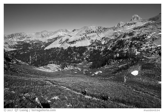 Hikers on Huckleberry Trail. Jedediah Smith Wilderness,  Caribou-Targhee National Forest, Idaho, USA (black and white)
