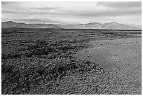 Aerial view of lava flow at edge of Little Park kipuka. Craters of the Moon National Monument and Preserve, Idaho, USA ( black and white)
