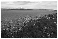 Aerial view of Little Park higher land surrouned by lava. Craters of the Moon National Monument and Preserve, Idaho, USA ( black and white)