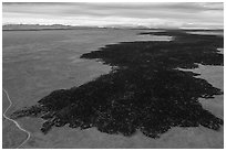 Aerial view of Lava Point, southern-most point of the Grassy lava flow. Craters of the Moon National Monument and Preserve, Idaho, USA ( black and white)