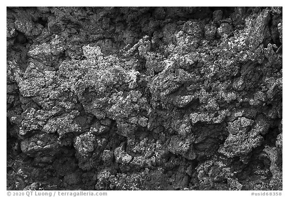Close-up of colorful lava with lichen. Craters of the Moon National Monument and Preserve, Idaho, USA (black and white)