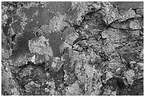 Close-up of cracked lava with blue tints of the Blue Dragon flow. Craters of the Moon National Monument and Preserve, Idaho, USA ( black and white)