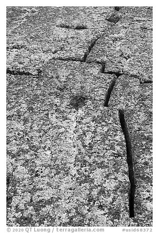 Fissures on pressure ridge. Craters of the Moon National Monument and Preserve, Idaho, USA (black and white)