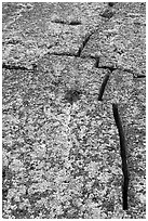 Fissures on pressure ridge. Craters of the Moon National Monument and Preserve, Idaho, USA ( black and white)