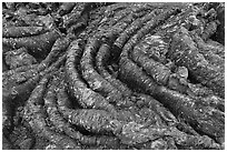 Close-up of Pahoehoe lava. Craters of the Moon National Monument and Preserve, Idaho, USA ( black and white)