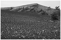 Evenly spaced dwarf buckwheat plants and Big Craters. Craters of the Moon National Monument and Preserve, Idaho, USA ( black and white)