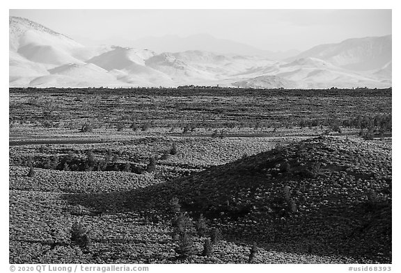 Snake River Plain with cinder cones and Pioneer Mountains. Craters of the Moon National Monument and Preserve, Idaho, USA (black and white)