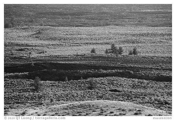 Lava and sagebrush on Snake River Plain. Craters of the Moon National Monument and Preserve, Idaho, USA (black and white)