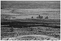 Lava and sagebrush on Snake River Plain. Craters of the Moon National Monument and Preserve, Idaho, USA ( black and white)