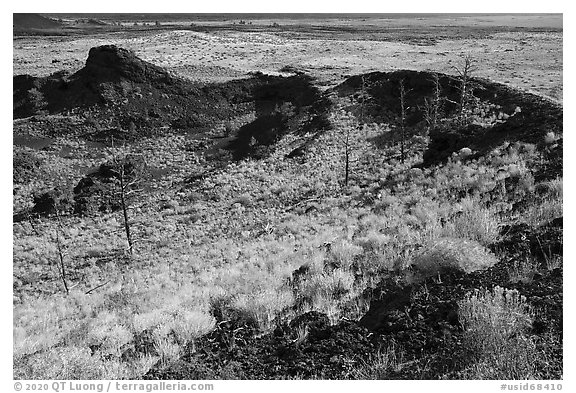 Collapsed crater side with sagebrush in bloom. Craters of the Moon National Monument and Preserve, Idaho, USA (black and white)