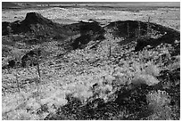 Collapsed crater side with sagebrush in bloom. Craters of the Moon National Monument and Preserve, Idaho, USA ( black and white)