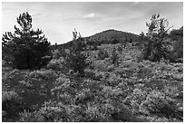 Big Cinder Butte. Craters of the Moon National Monument and Preserve, Idaho, USA ( black and white)