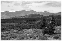 Blue Dragon Flow and Big Sink. Craters of the Moon National Monument and Preserve, Idaho, USA ( black and white)