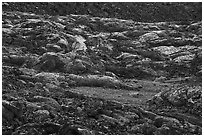 Lava cascades. Craters of the Moon National Monument and Preserve, Idaho, USA ( black and white)