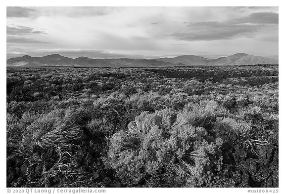 Sagebrush and Pioneer Mountains. Craters of the Moon National Monument and Preserve, Idaho, USA (black and white)