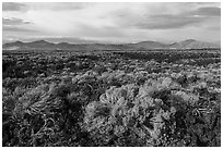 Sagebrush and Pioneer Mountains. Craters of the Moon National Monument and Preserve, Idaho, USA ( black and white)