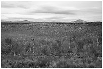 Snowdrift Crater. Craters of the Moon National Monument and Preserve, Idaho, USA ( black and white)