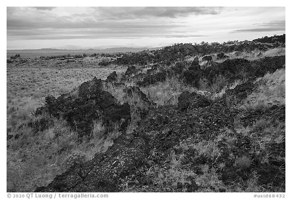 Edge of Laidlaw Kipuka from Lava Point. Craters of the Moon National Monument and Preserve, Idaho, USA (black and white)