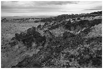 Edge of Laidlaw Kipuka from Lava Point. Craters of the Moon National Monument and Preserve, Idaho, USA ( black and white)