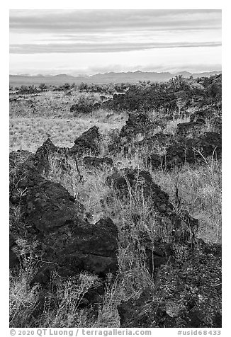 Grassy lava flow at Lava Point. Craters of the Moon National Monument and Preserve, Idaho, USA (black and white)