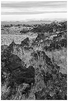 Grassy lava flow at Lava Point. Craters of the Moon National Monument and Preserve, Idaho, USA ( black and white)