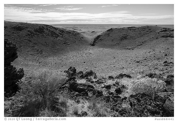 Rabbitbrush in bloom and breach of Bear Den Butte crater. Craters of the Moon National Monument and Preserve, Idaho, USA (black and white)